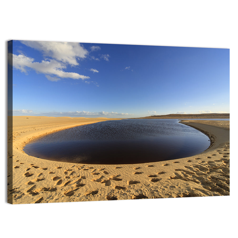 Fayoum Lake Footprints Wall Art, canvas print, landscape