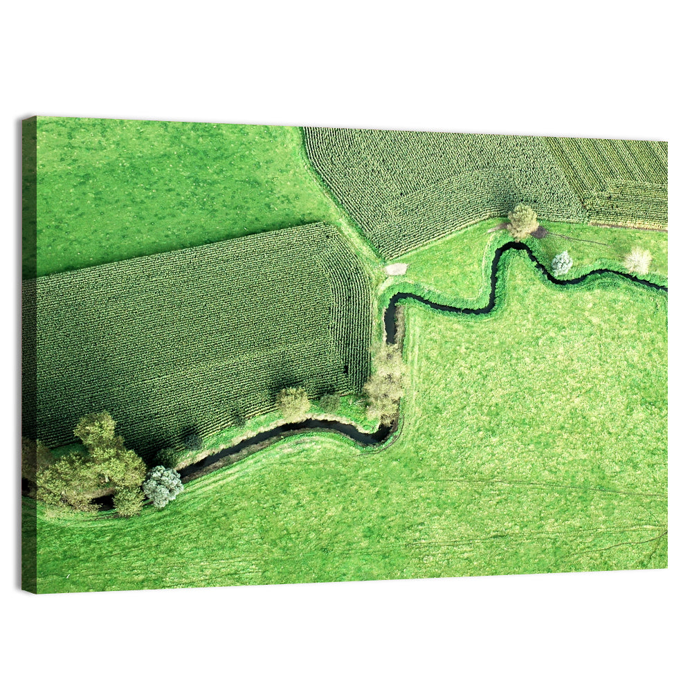 Meandering Stream Over Farmland Wall Art
