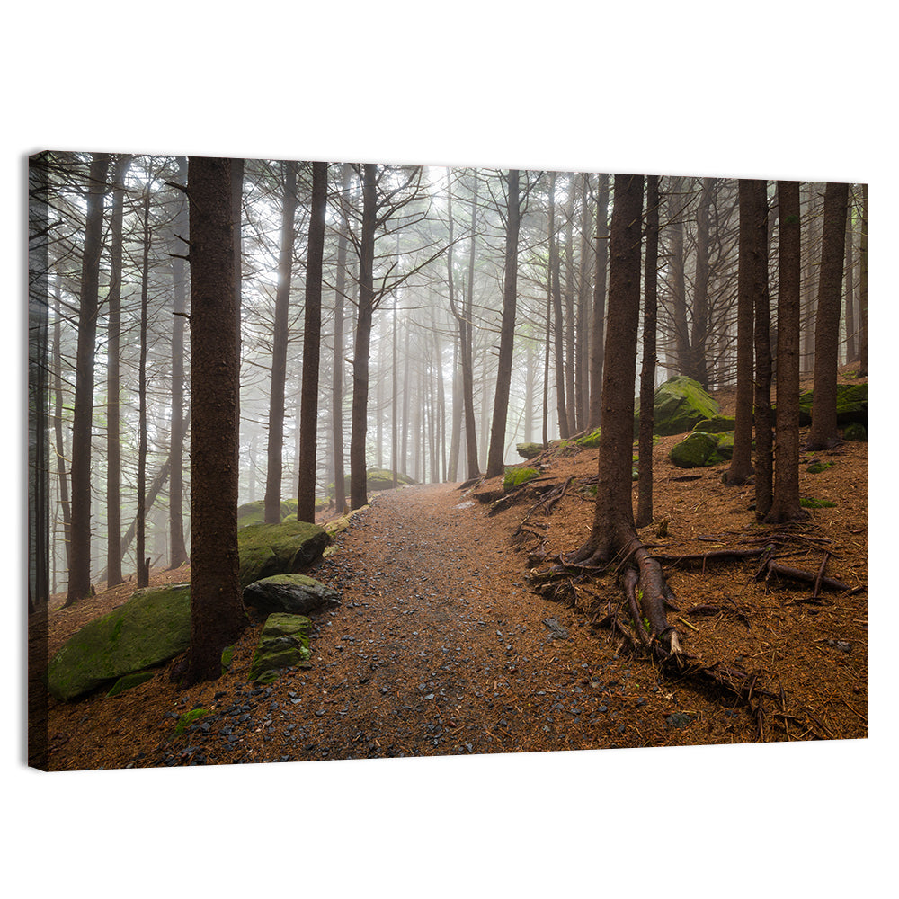 Misty Appalachian Trail Path Wall Art