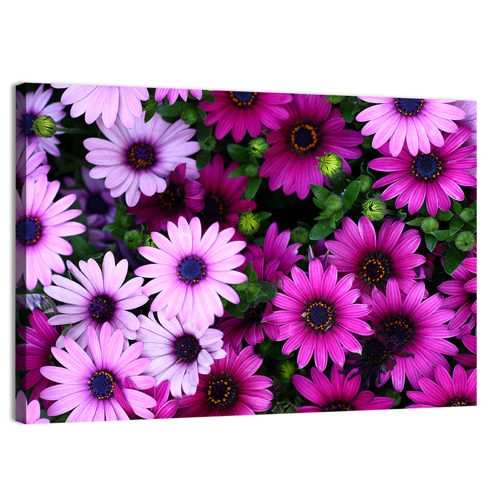 Pink and Purple Daisies Wall Art