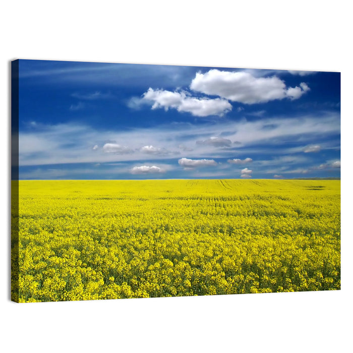 Sunlit Canola Field Wall Art as a canvas print