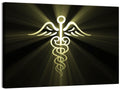 Medical Corps Caduceus Emblem Wall Art