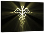 Medical Corps Caduceus Emblem Wall Art