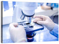 Laboratory Microscope Close-up Wall Art