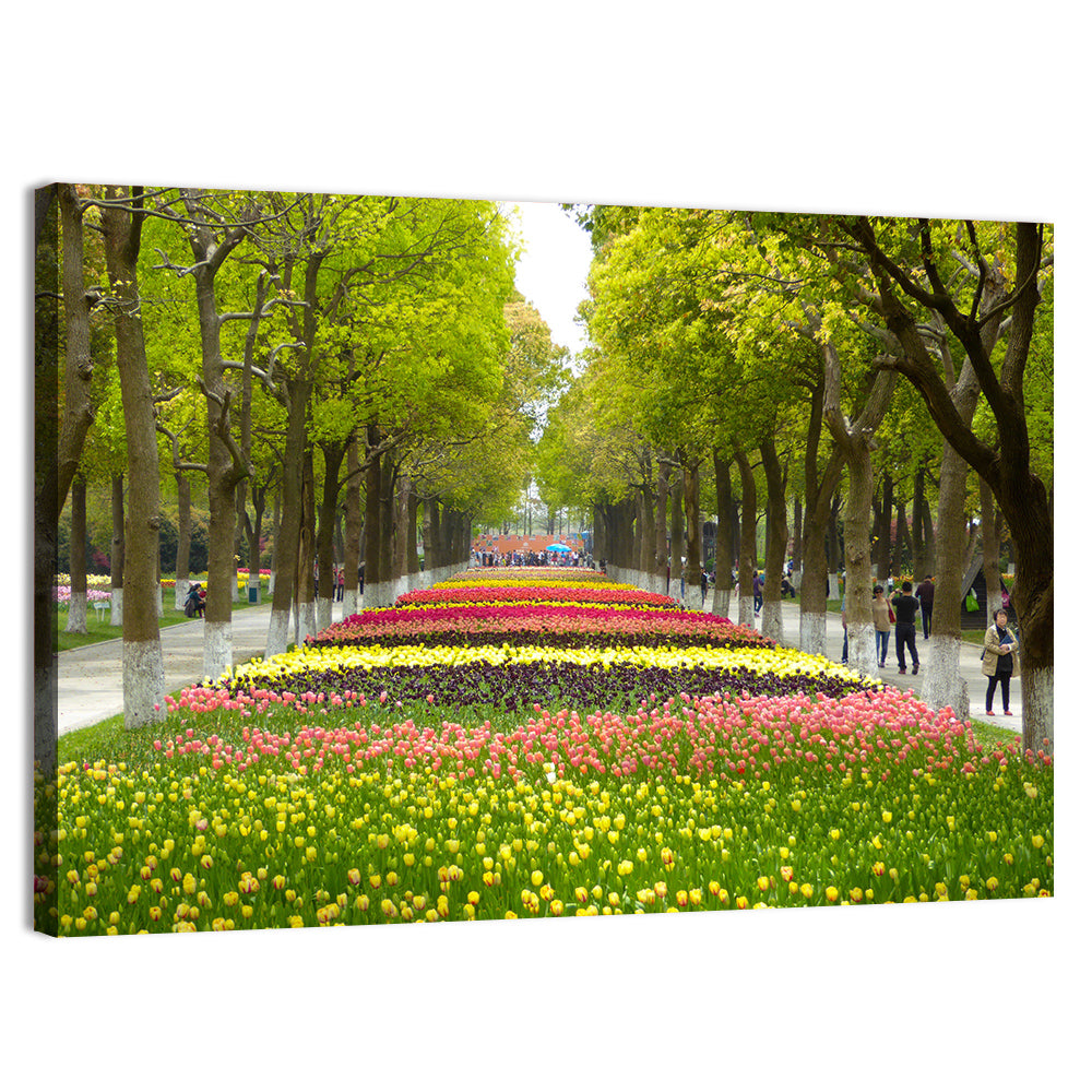 Tree-lined Tulip Garden Path Wall Art, canvas print, landscape
