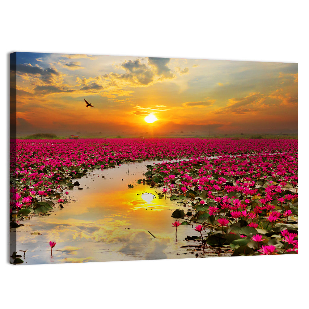 Golden Hour Lotus Field Wall Art, canvas print, landscape