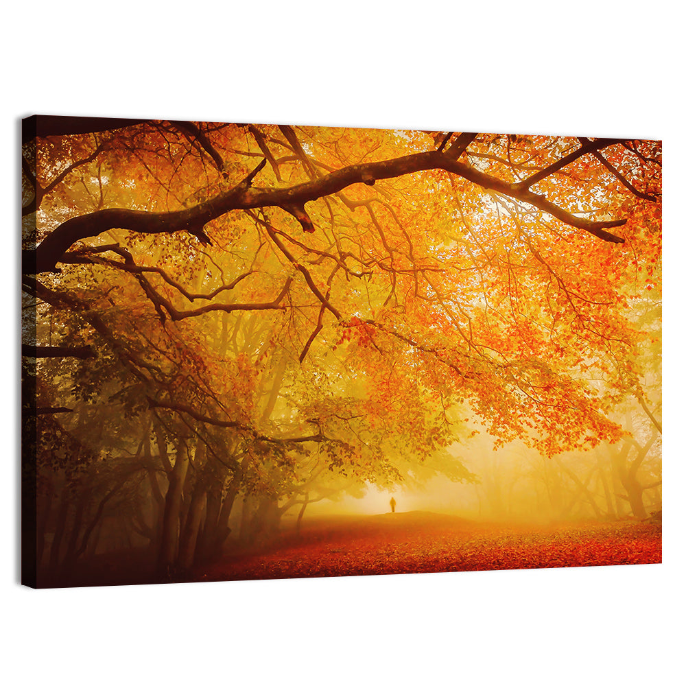 Autumn Forest Path with Lone Figure Wall Art