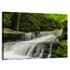 Matthiessen Forest Cascade Wall Art