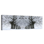 Snow-covered Tree Alley Wall Art