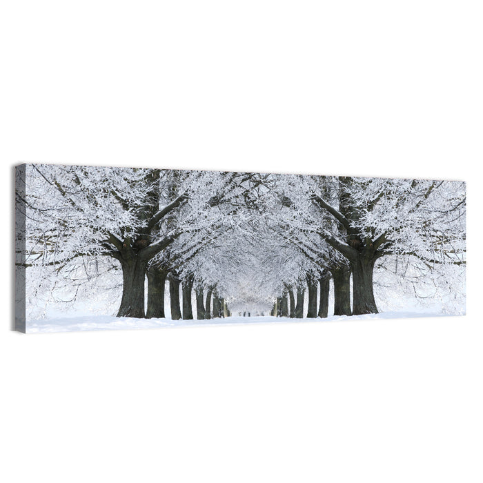 Snow-covered Tree Alley Wall Art as a canvas print