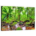 Mossy Rainforest Stream Wall Art