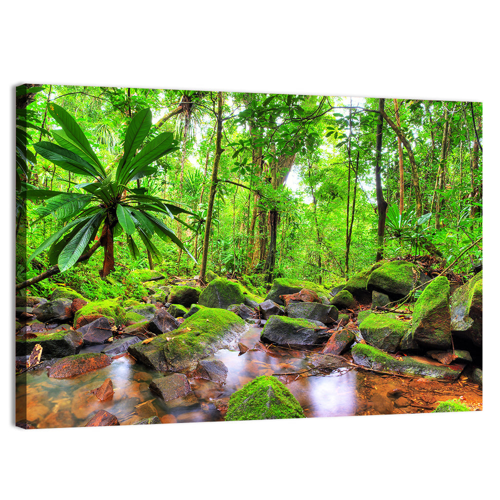 Mossy Rainforest Stream Wall Art, canvas print, landscape