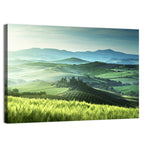 Misty Rolling Hills with Cypresses Wall Art