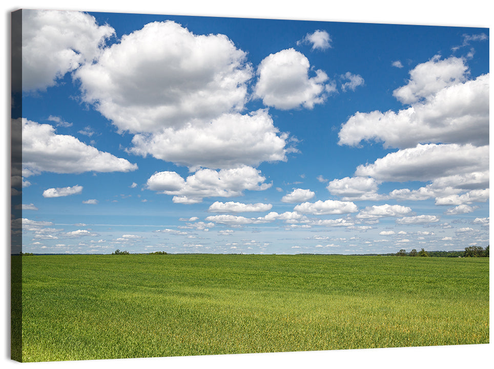 Cloud Filled Sky Over Meadow Wall Art