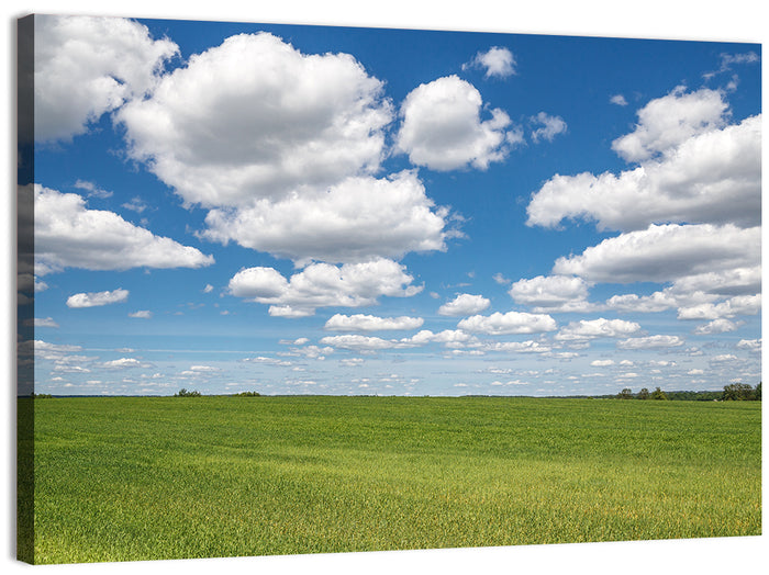 Cloud Filled Sky Over Meadow Wall Art as a canvas print