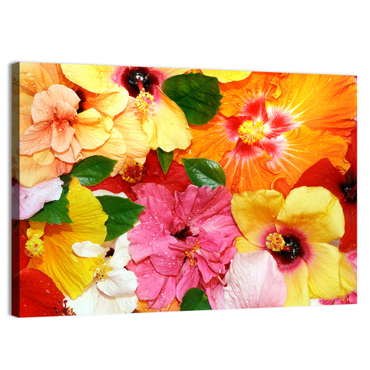 Hibiscus Flowers Wall Art