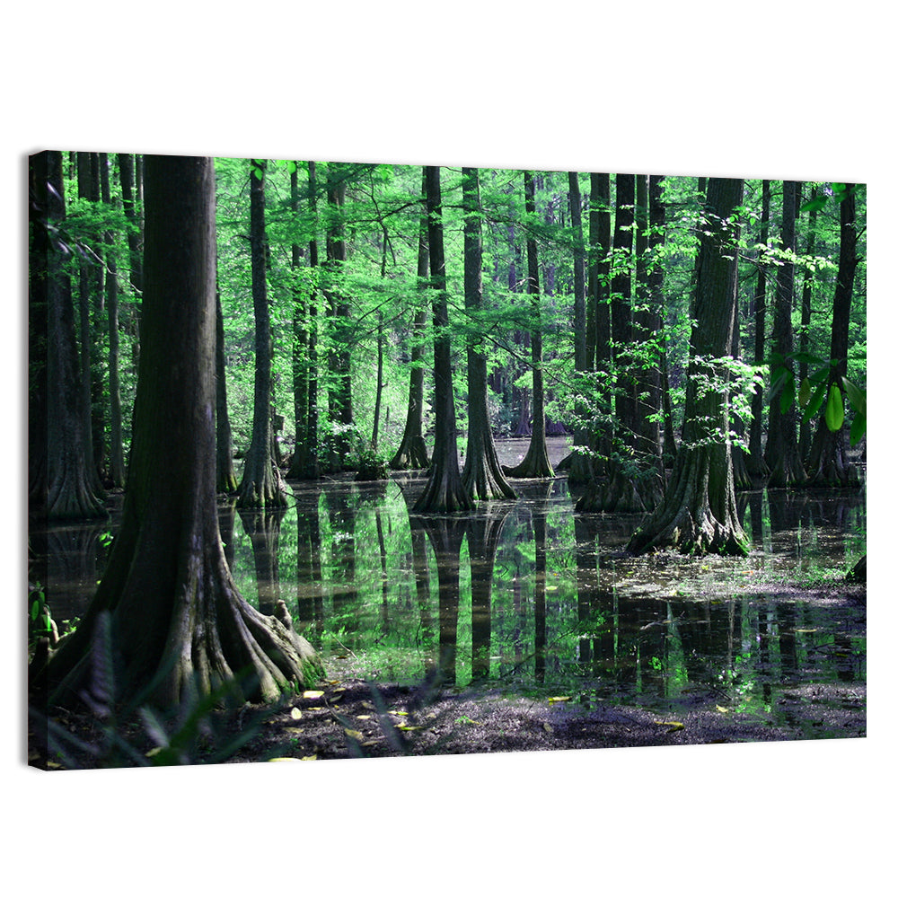 Congaree Swamp Reflection Wall Art, canvas print, landscape