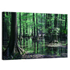 Congaree Swamp Reflection Wall Art