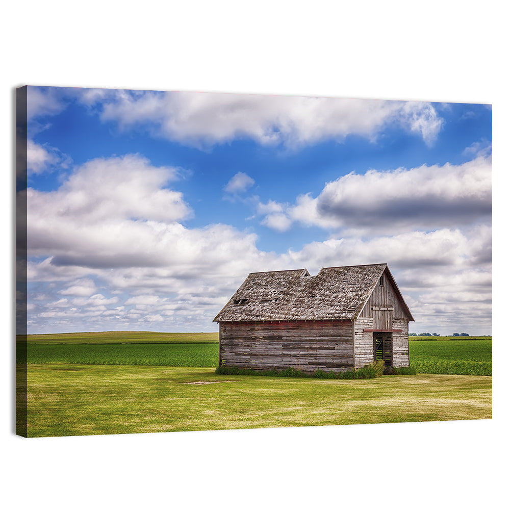 Old Farm Shed in Field Wall Art, canvas print, landscape