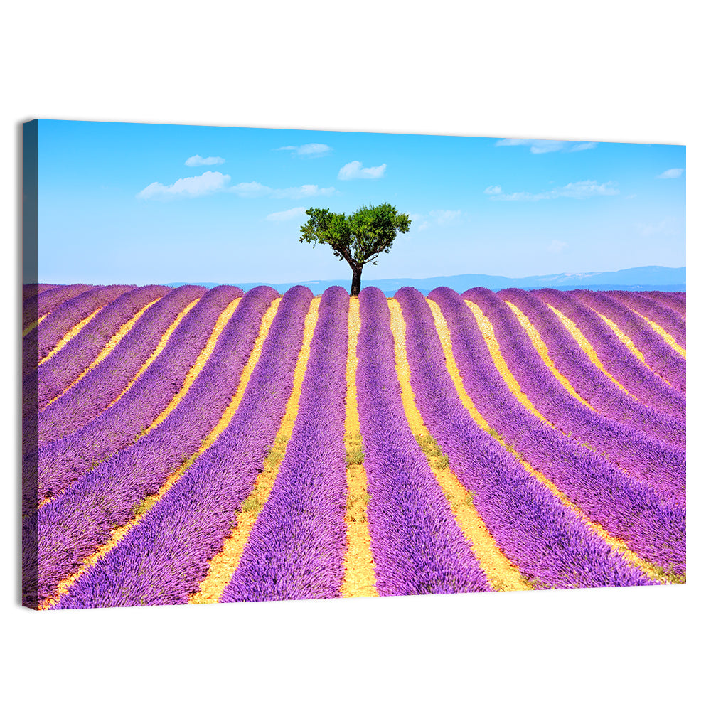 Lavender Field Wall Art, canvas print, landscape