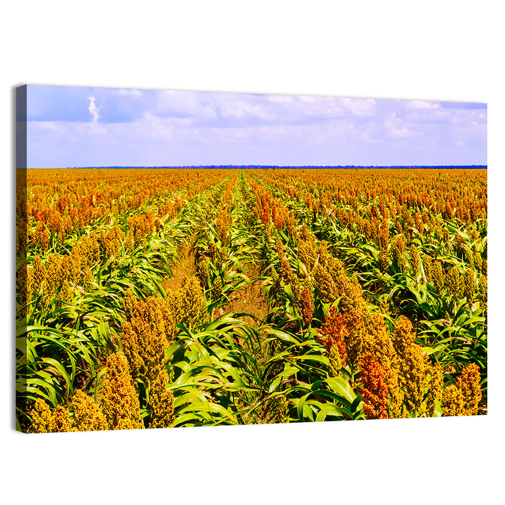 Sorghum Field Wall Art, canvas print, landscape
