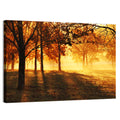 Autumn Sunbeams Through Fog Wall Art