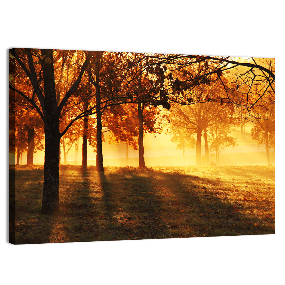 Autumn Sunbeams Through Fog Wall Art