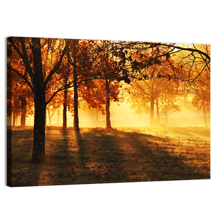 Autumn Sunbeams Through Fog Wall Art as a canvas print