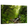 Annapurna Jungle Stream Wall Art