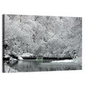 Fairmount Park Winter Spillway Wall Art
