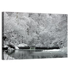 Fairmount Park Winter Spillway Wall Art