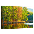White Mountain National Forest Reflection Wall Art