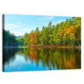 White Mountain Forest Reflections Wall Art