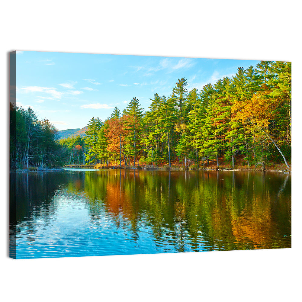 White Mountain Forest Reflections Wall Art, canvas print, landscape