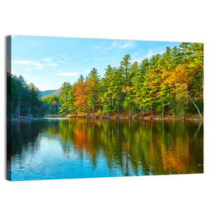 White Mountain National Forest II Wall Art