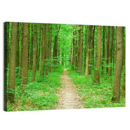 Green Forest Pathway Wall Art