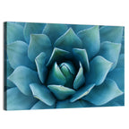 Spiral Agave Macro Wall Art