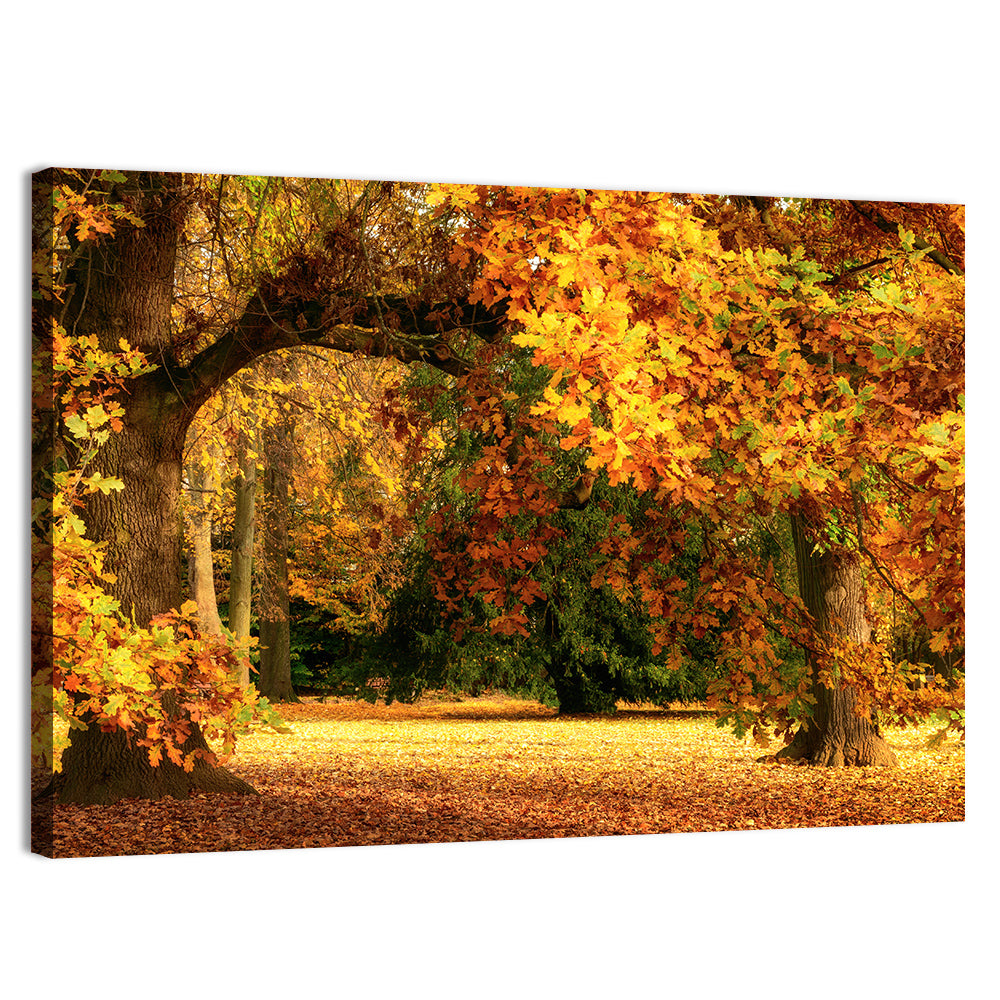 Autumn Park Oaks Wall Art