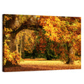 Autumn Park Oaks Wall Art