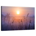 Lavender Sunrise Over Reeds Wall Art