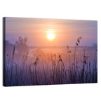 Lavender Sunrise Over Reeds Wall Art