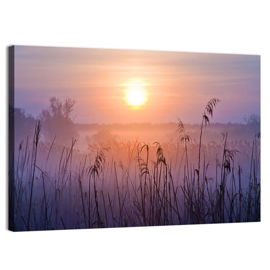 Hazy Sunrise Wall Art