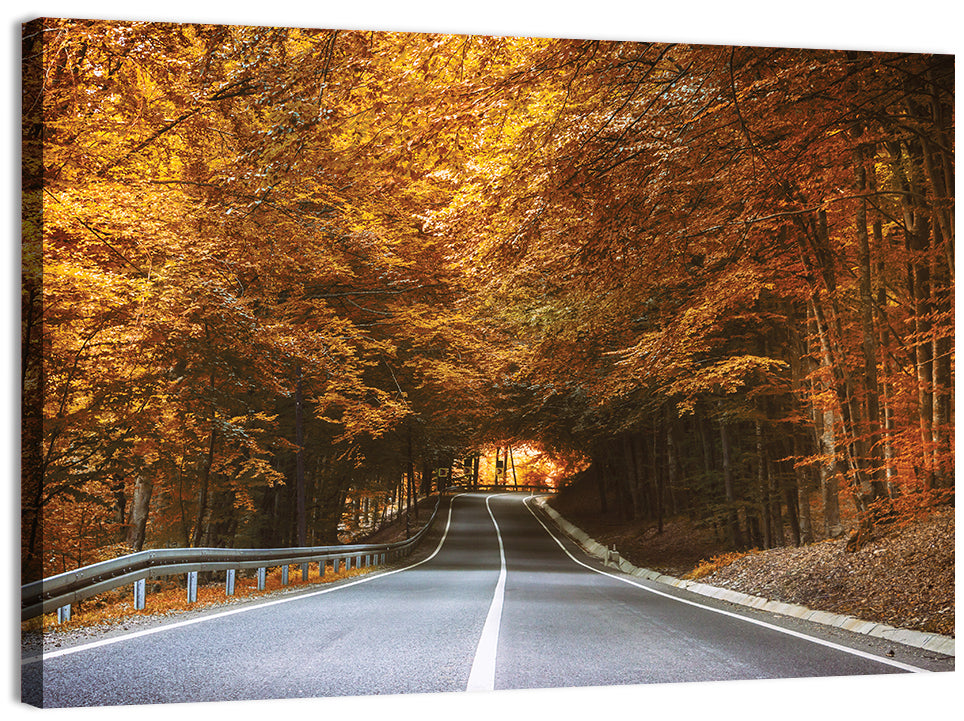 Autumn Forest Road with Canopy Wall Art