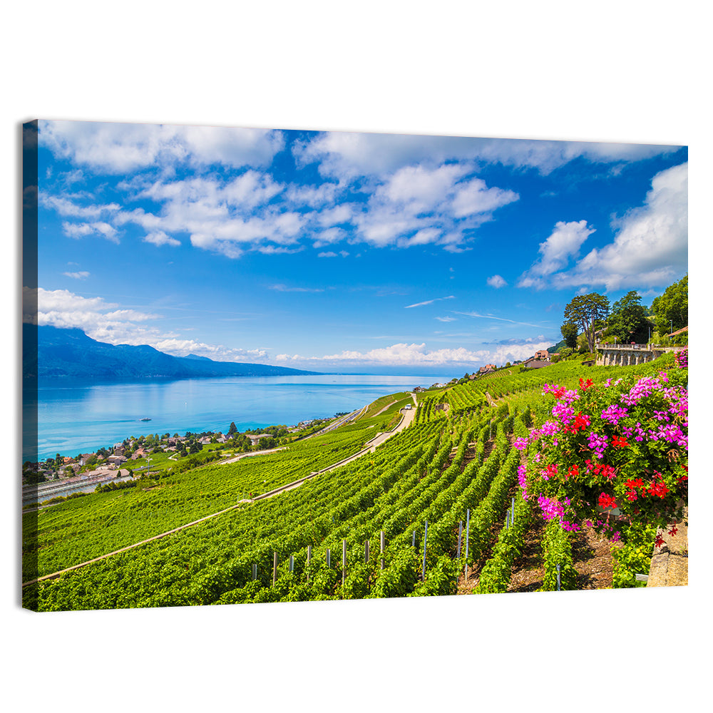 Lavaux Wine Region Wall Art, canvas print, landscape