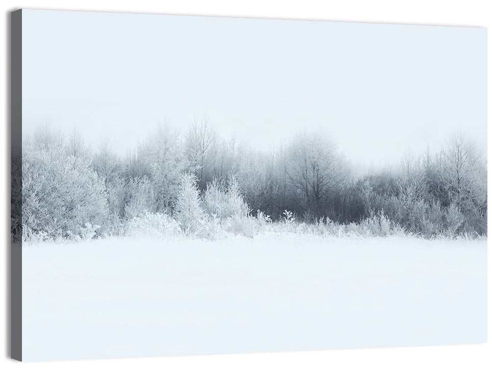 Frosted Winter Forest Wall Art, canvas print, landscape