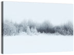 Frosted Winter Forest Wall Art