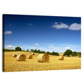 Late Summer Straw Bales Wall Art