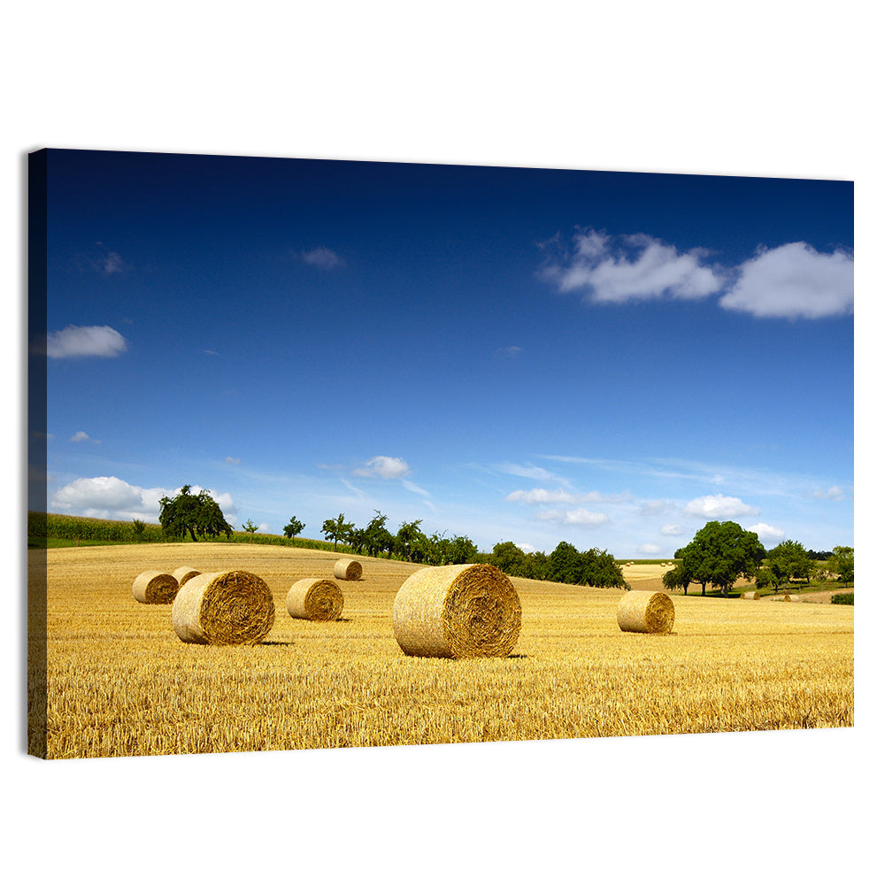 Late Summer Straw Bales Wall Art