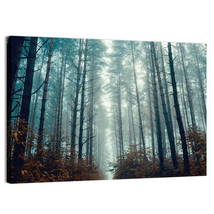 Misty Pine Forest Wall Art as a canvas print