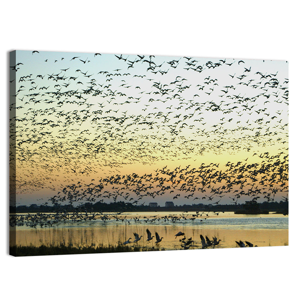 Snow Geese Over River Wall Art